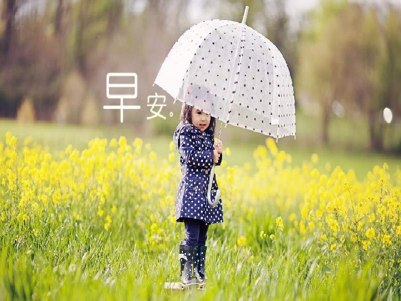 试管蚁巢开箱测评（试管婴儿DHEC）